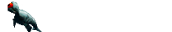 Gunta Snack