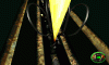 mdks_033_t1.gif