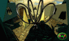 mdks_037_t1.gif
