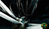 mdks_050_t1.gif
