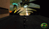 mdks_059_t1.gif