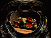 mdks_077_t1.gif